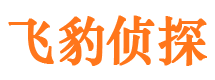 岗巴捉小三公司